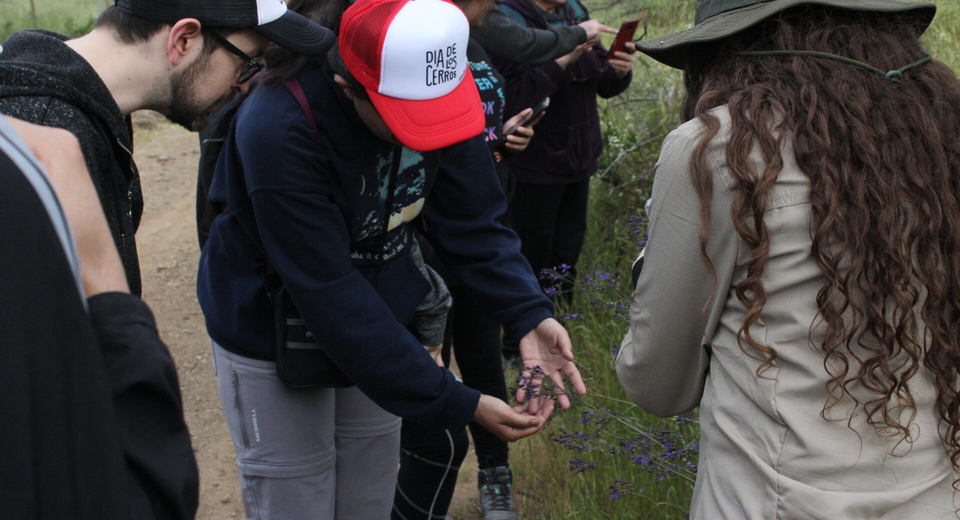 Ciencia ciudadana en el Cerro Amapola