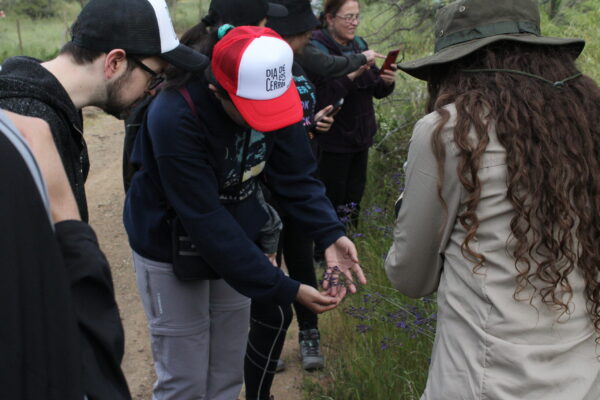 Ciencia ciudadana en el Cerro Amapola