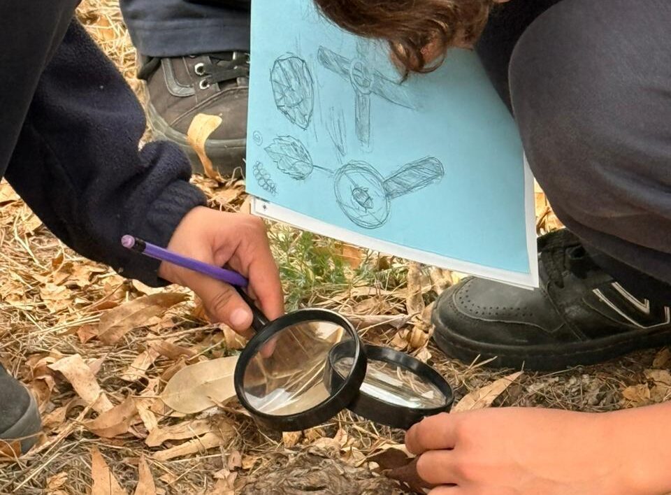 Descubre el «Mundo Diminuto» del Cerro Los Almendros