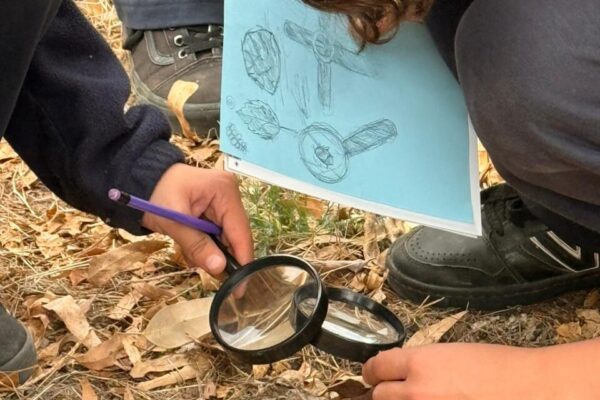 Descubre el «Mundo Diminuto» del Cerro Los Almendros
