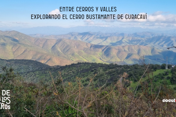 «Entre cerros y valles» Explorando el Cerro Bustamante de Curacaví