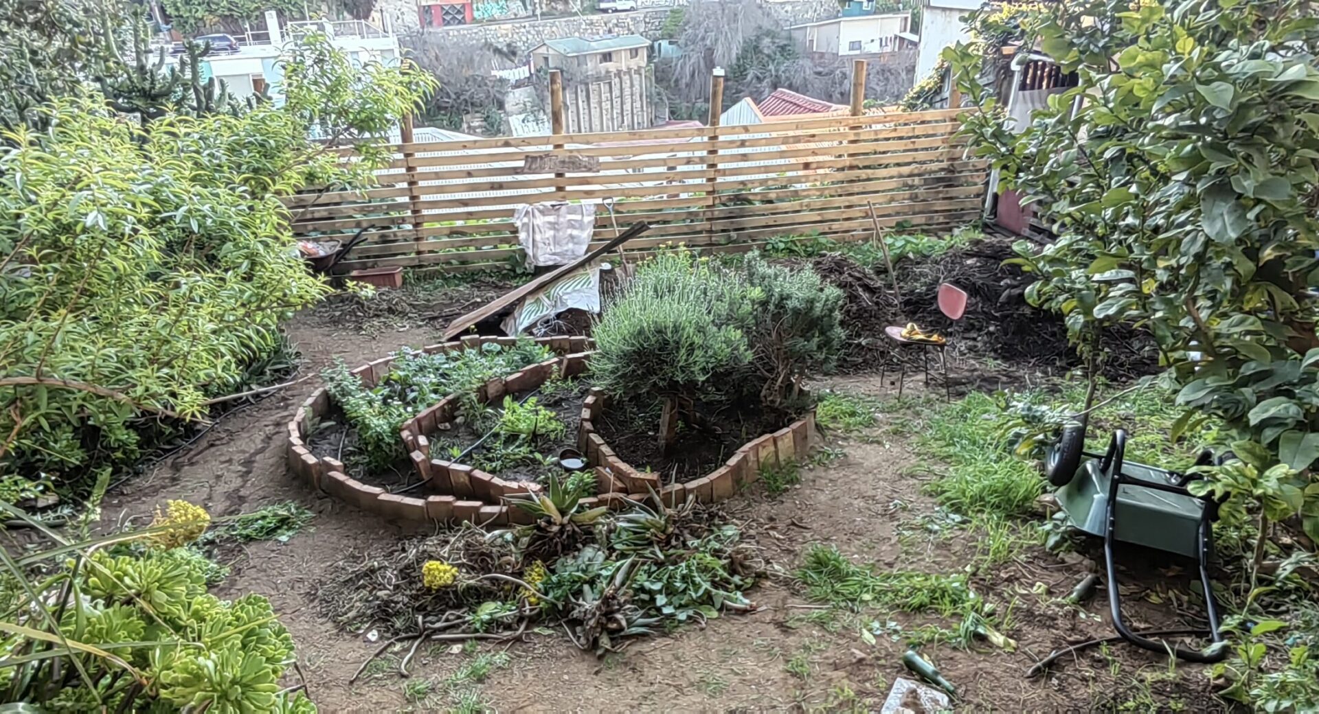 Raíces migrantes: del cerro al plato
