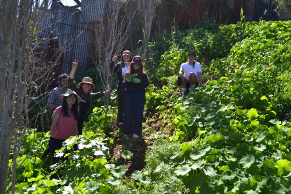 Descubre el Patrimonio Biocultural del Jardín Ladera