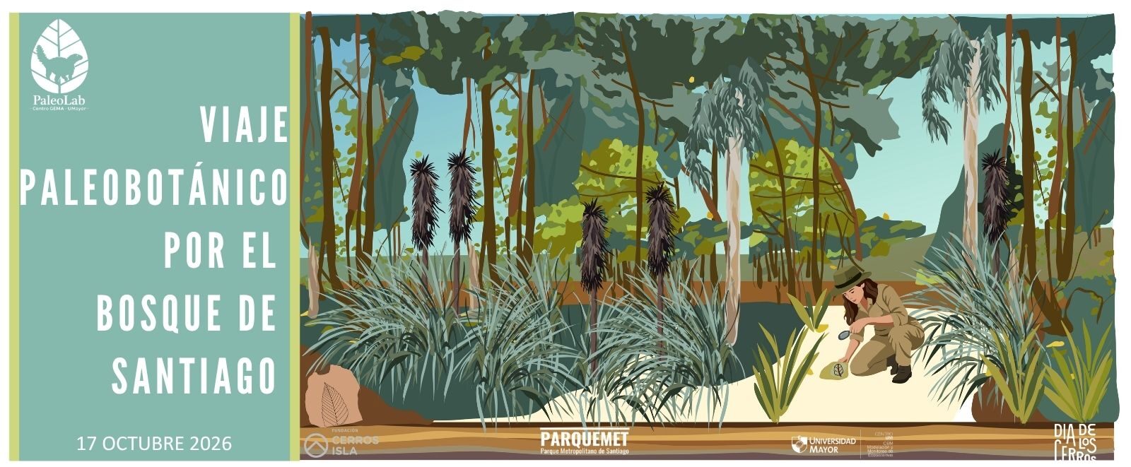 Viaje paleobotánico por el Bosque de Santiago