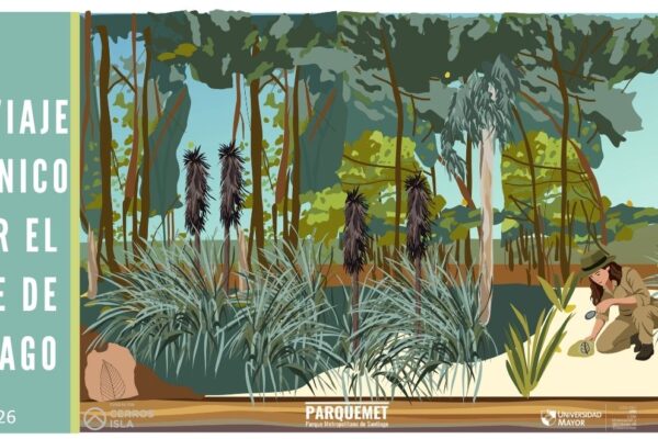 Viaje paleobotánico por el Bosque de Santiago