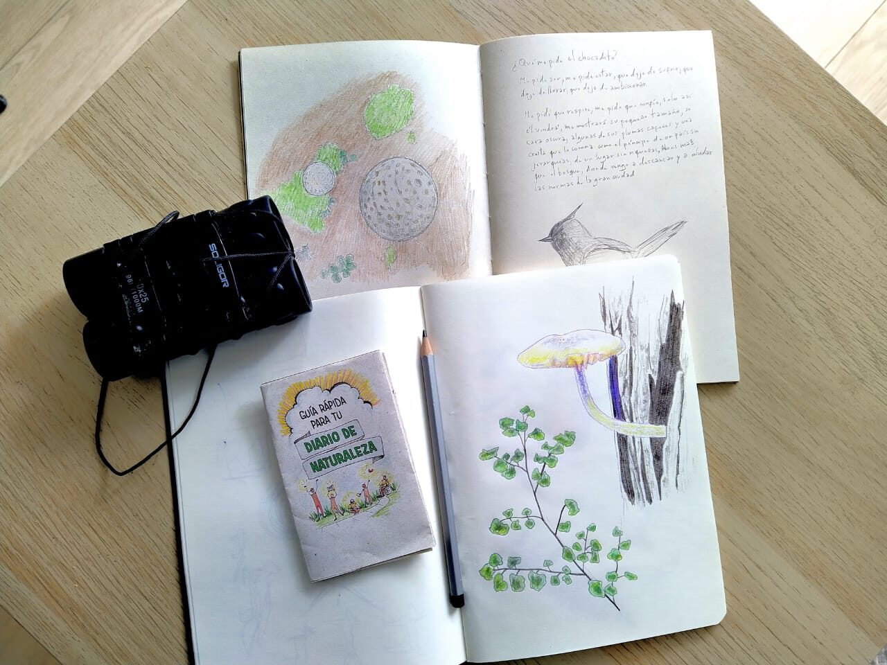 «Dibujando Aprendo» Conociendo las plantas y animales del Cerro