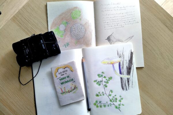 «Dibujando Aprendo» Conociendo las plantas y animales del Cerro